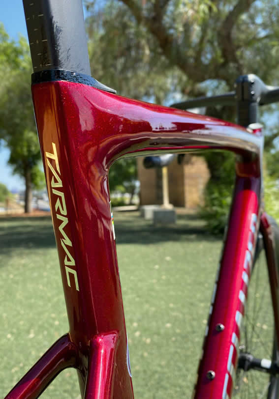 Turbo Levo 4 Alloy⚡️